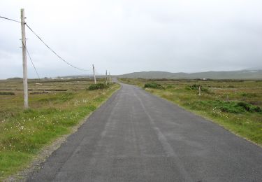 Tour Zu Fuß Westport-Belmullet Municipal District - Slí Tóin a' tSeanbhaile / Valley Loop Walk - Photo