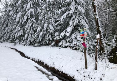 Tocht Stappen Bonnefond - Chadebech, bleue - Photo