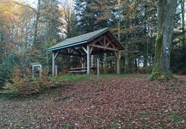 Excursión Senderismo Saint-Nabord - 29-10-24 etang Huchere, rond caillou - Photo