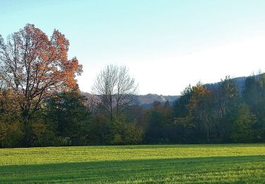 Excursión A pie Weilheim an der Teck - Weilheim Rundweg 61 - Photo