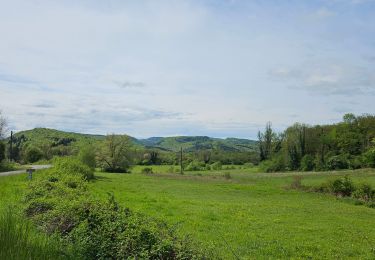 Trail Walking Écrille - Quelque part dans le Jura 🥾 - Photo
