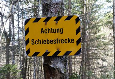 Percorso A piedi Kiefersfelden - Weg Nr. 5 - Höhenrundweg um den Scharzenberg - Oberaudorf/Hocheck - Photo