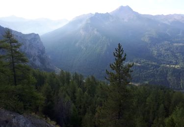 Excursión Senderismo Saint-Sauveur - Le Méale (par le parking de la forêt) - Photo