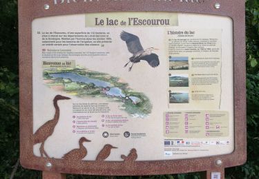 Trail Walking Eymet - le lac - Photo