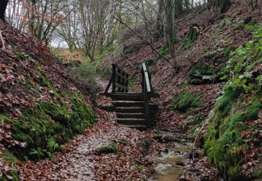 Tour Wandern Waldbillig - La cascade de Mullerthal - Photo
