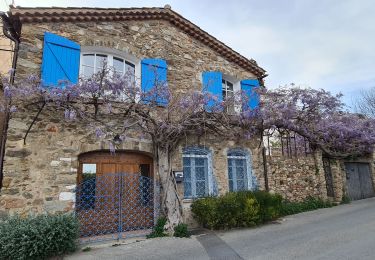 Randonnée Marche Grimaud - Grimaud - Sentier de la calade - Photo