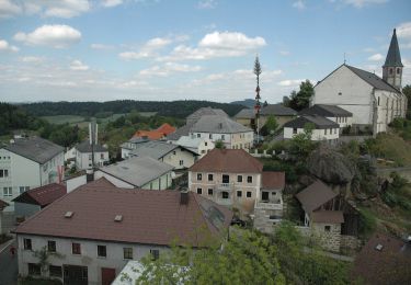 Randonnée A pied Münzbach - Pechölstein - Photo