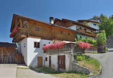 Percorso A piedi Funes - Gratschenbergrunde - Photo