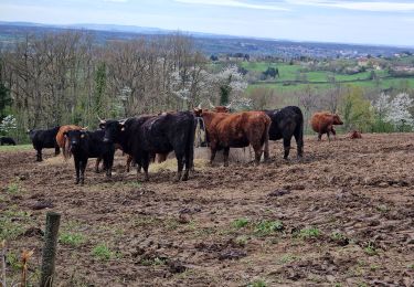 Tour Wandern Saint-Yorre - Saint yorre  - Photo