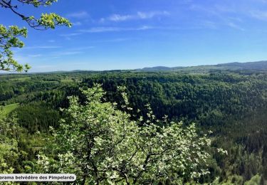 Randonnée Marche Clairvaux-les-Lacs - Les Pimpelards - Photo