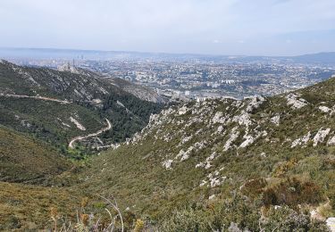 Tour Wandern Marseille - Le Mont St Cyr par la Barasse  - Photo