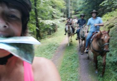 Trail Horseback riding Ban-de-Sapt - equiplaine à la fontenelle  - Photo