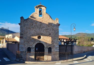 Excursión Senderismo Cuers - valcros ste christine - Photo