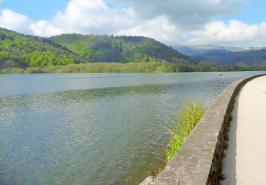 Tour Wandern Chambon-sur-Lac - 22-MAI-19 11.05.42 - Photo