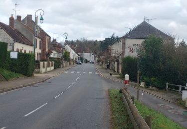 Tour Rennrad Paron - 188 SO80 St. Hilaire les Andresis # Ervauville-02 - Photo
