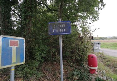 Trail Walking Loubens-Lauragais - 1-10-24 - Photo