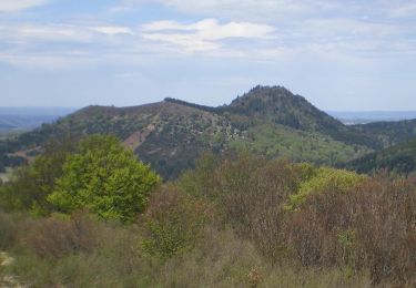 Tocht Noords wandelen Volvic - Puy des Gouttes - Photo