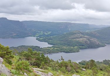 Trail On foot  - Hogstad - D2- Norway  - Photo