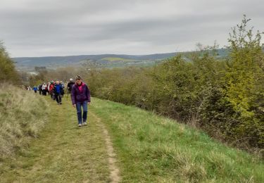 Randonnée Marche Marsangy - marsangy - Photo