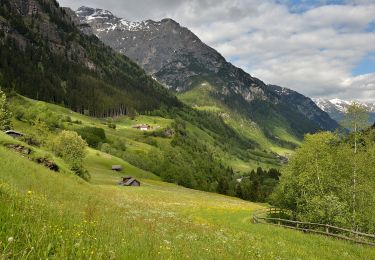 Trail On foot Brenner - Brennero - IT-6 - Photo