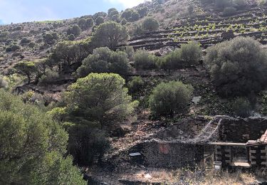 Tour Wandern Cerbère - cerbère. cap cerbère. coll dels belitras . puig dels frères. cerbère - Photo