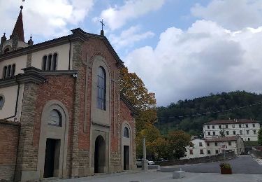 Trail On foot Bagno di Romagna - IT-155 - Photo
