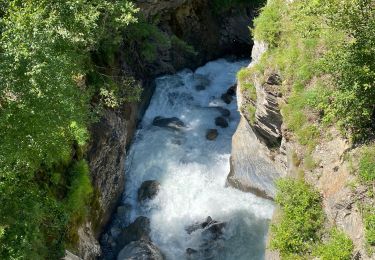 Tocht Stappen La Grave - La Grave lac de puy vachier - Photo