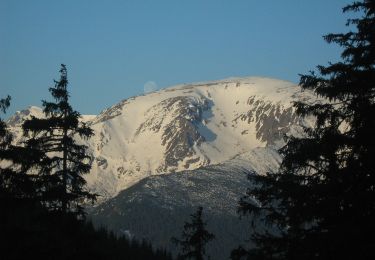 Excursión A pie Petrila - Cabana Groapa Seacă - Pasul Groapa Seacă - Vf. Capra - Photo