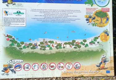 Percorso Marcia Sainte-Luce - plages du littoral de ste Luce  - Photo