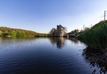 Excursión A pie Guichen - Le moulin de la Bouëxière - Photo