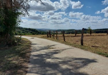 Tour Wandern Ibingen - Battincourt étang - Photo