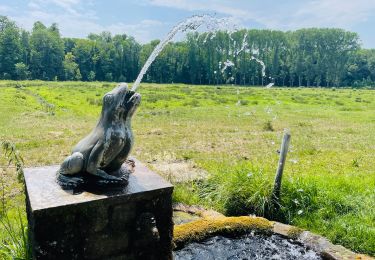 Trail Walking Braives - La rainette des marais et la rivière « la Mehaigne » à Braives - Photo