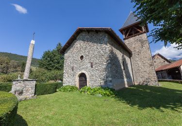 Trail On foot Saint-Martin-d'Uriage - Balcon de Combeloup - Photo