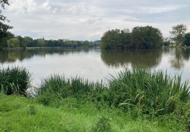 Tocht Stappen Lamballe-Armor - Lamballe - Photo
