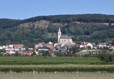 Tour Zu Fuß  - Lauf- und Walkingstrecke Kleinhöflein - Photo