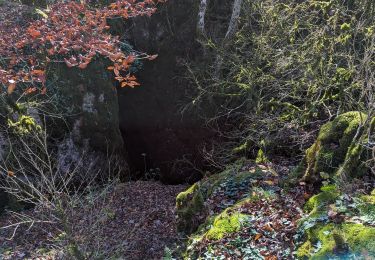 Randonnée Marche Cornus - Plateau de Guilhaumard La Sorgues - Photo