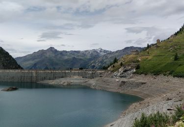 Trail Walking Heuvelland - refuge des marchés 1 - Photo