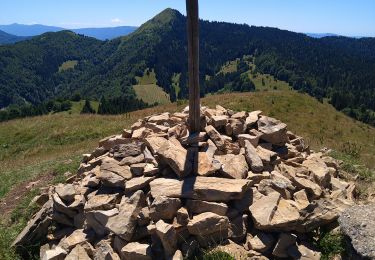 Tocht Stappen La Pesse - Le Berbois Crêt aux Merles  - Photo