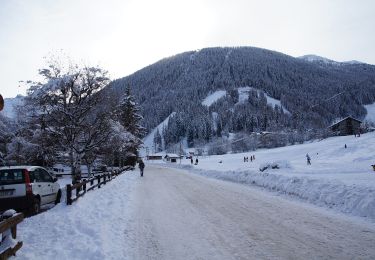 Randonnée A pied La Thuile - (SI F05) Rifugio Deffeyes - La Thuile - Photo