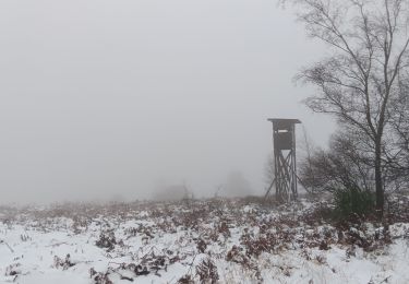 Tocht Stappen Spa -  harme de novembre au Thier des Rexhons - Photo