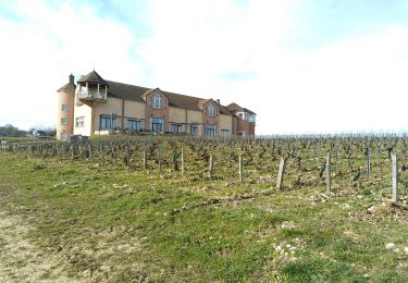 Randonnée Marche Préhy - AVF - PREHY 15-02-2023 - Photo
