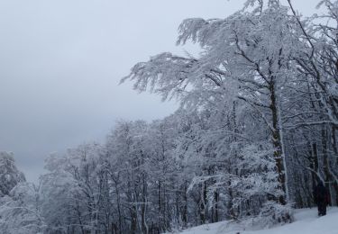 Randonnée Raquettes à neige Le Valtin - raquettes Printemps 2021 - Photo