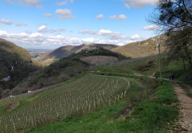 Trail Walking Boyeux-Saint-Jérôme - Boyeux-Lhuire-St Jérôme - Photo