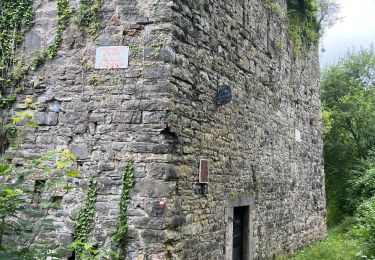 Randonnée Marche Dinant - Pégase de Dinant à Godinne - Photo