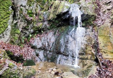 Excursión Senderismo Theux - Promenade vers la cascade de Haldeboeuf  - Photo