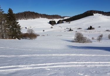 Trail Snowshoes La Pesse - L'embossieux-la Pourvoirie - Photo
