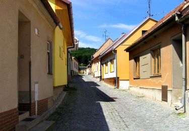 Randonnée A pied Rozdrojovice - [M] Žebětín - Rozdrojovice - Photo