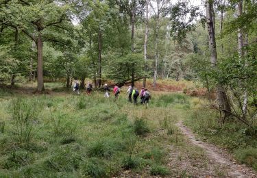 Excursión Senderismo Saint-Mard - rando autour de Dammartin Juilly  - Photo