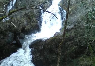 Percorso A piedi Forgès - La cascade de Murel - Photo