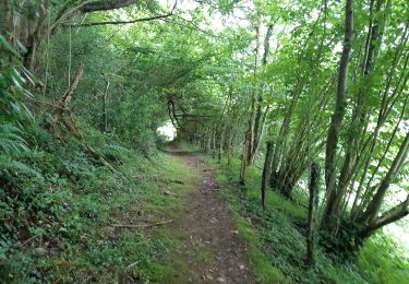 Tour Wandern Larrau - LARRAU Rebalisage Jaureguyberry    